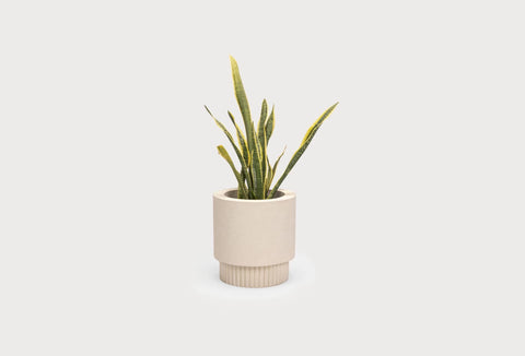 Jembe Pot