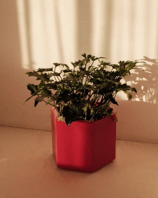 Wishing Well Pot