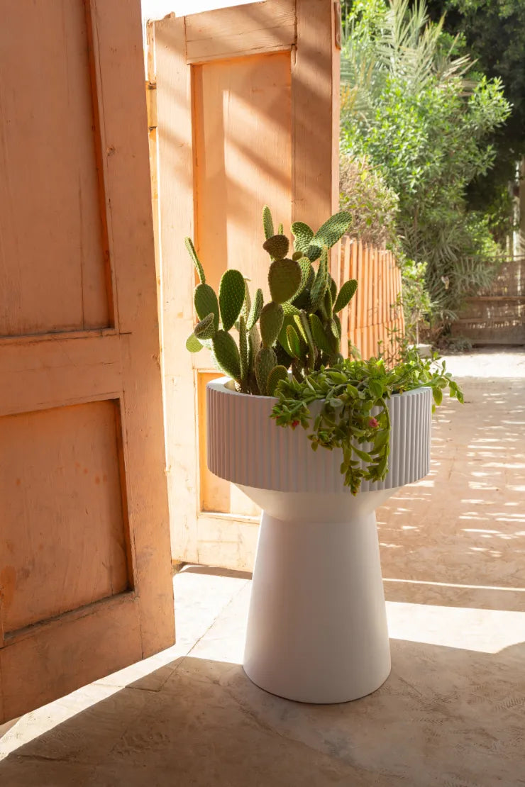 Precious Pot