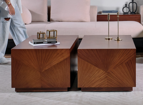 Veneer Party Coffee Table Set