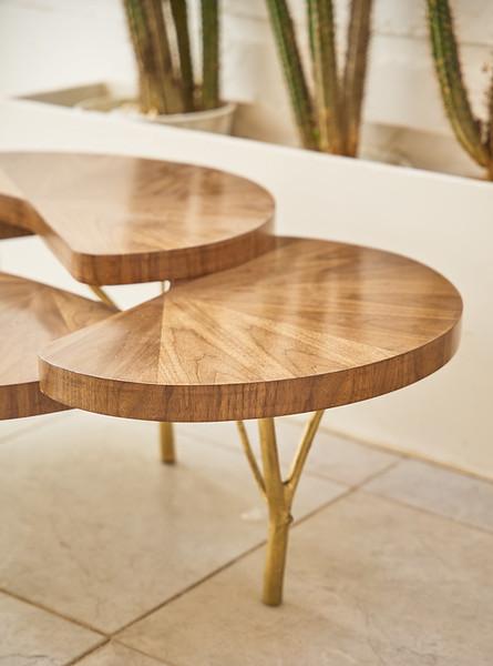 Tree Trunk Coffee Table