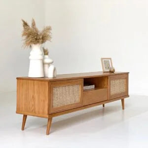 Japanese TV Unit