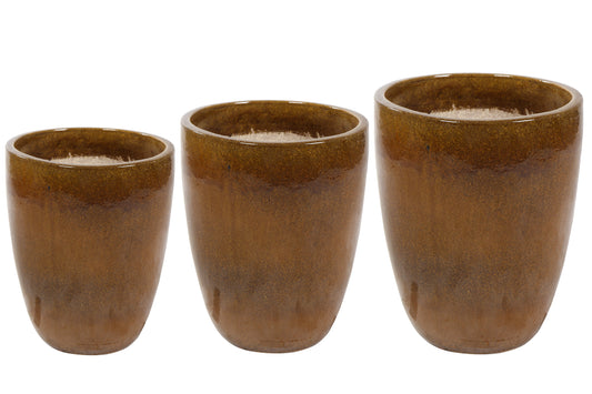 Vaas Rico Honey - Blooms and Beans- The Mob Collective