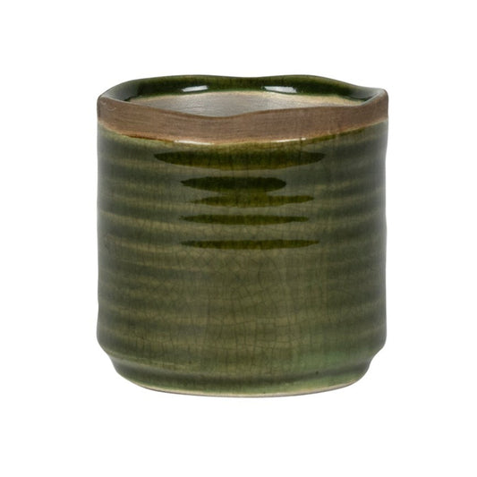 Pot Jordy Forest - Blooms and Beans- The Mob Collective