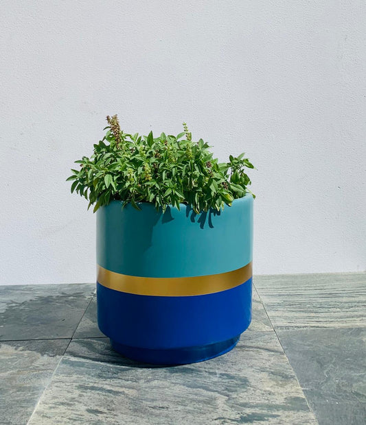 Safarina - TPOTS- The Mob Collective