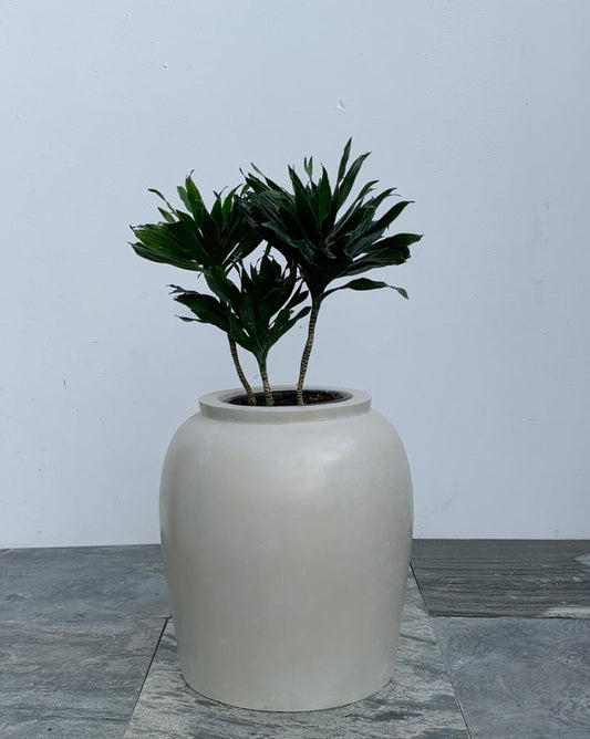 Thai - TPOTS- The Mob Collective