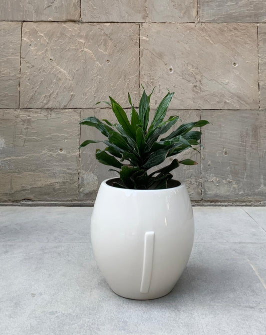 M&MS - TPOTS- The Mob Collective