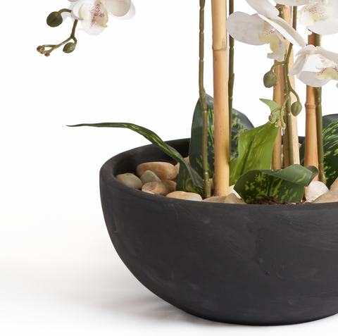 Orchids In Black Pot - Large