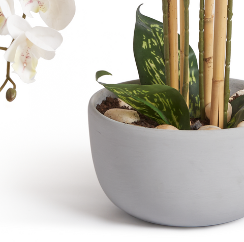 Orchids In Grey Pot - Small