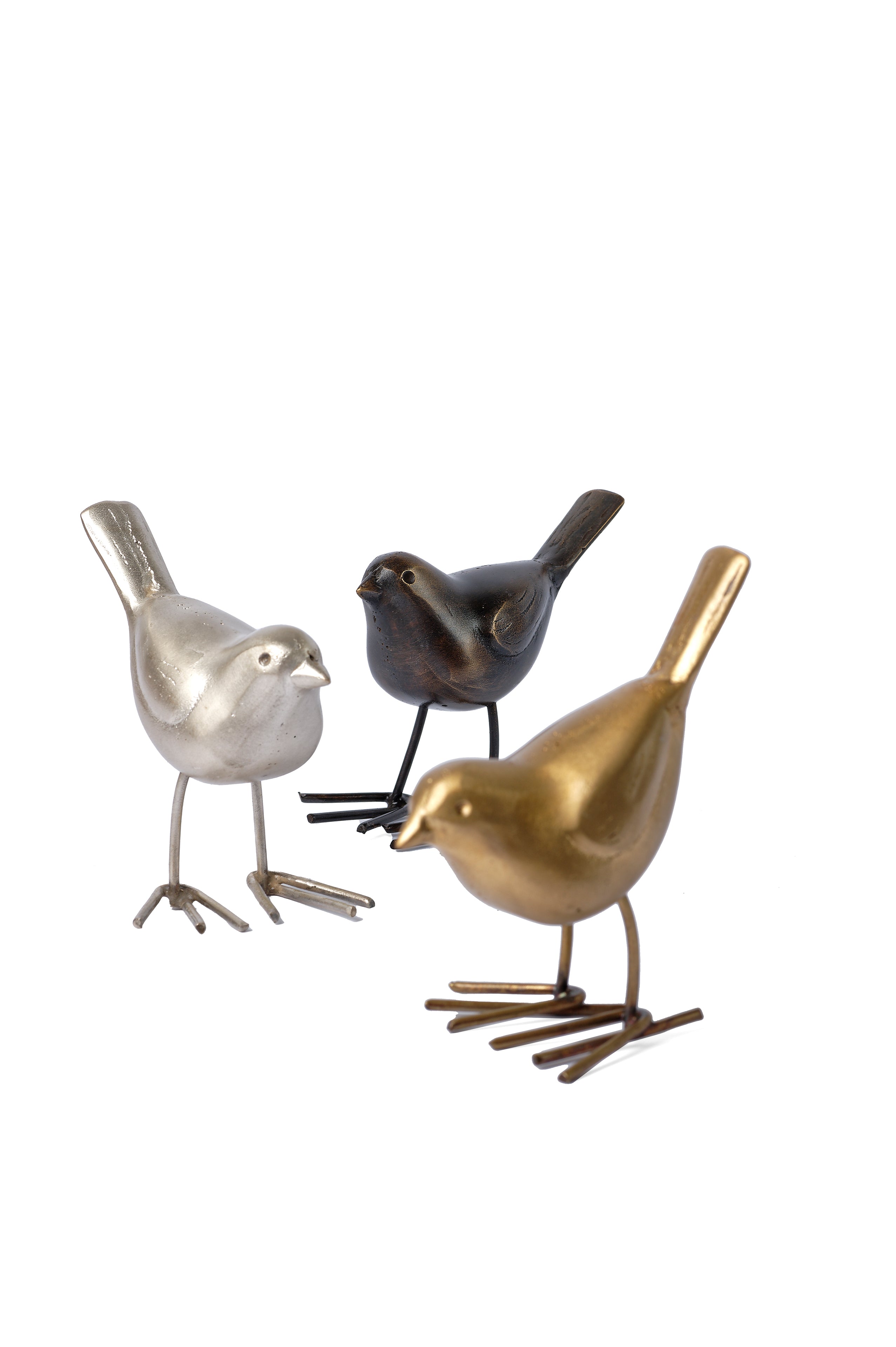 Canadian Birds - Caravanserai- The Mob Collective